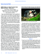 Wildlife Rabies on an Island Free from Canine Rabies for 52 Years  Taiwan 2013