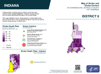 IN Congressional District 08 Stroke and Stroke Centers Map 119th Congress