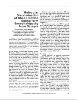 Molecular Discrimination of Sheep Bovine Spongiform Encephalopathy from Scrapie
