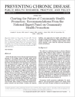 Charting the Future of Community Health Promotion Recommendations From the National Expert Panel on Community Health Promotion