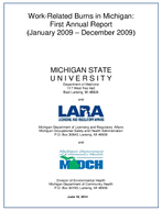 WorkRelated Burns in Michigan First Annual Report January 2009  December 2009