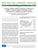 Creating a Public Health Community of Practice to Support American Indian and Alaska Native Communities in Addressing Chronic Disease