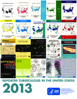 Reported Tuberculosis in the United States 2013