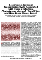 Leishmania donovani Transmission Cycle Associated with Human Infection Phlebotomus alexandri Sand Flies and Hare Blood Meals Israel1