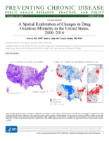 A Spatial Exploration of Changes in Drug Overdose Mortality in the United States 20002016