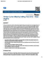 Timber Cutter Killed by Falling Tree Limb  West Virginia FACE 9503