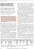 Molecular Epidemiology of Blastomyces gilchristii Clusters Minnesota USA