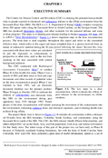 SRS Chapter 1 Executive Summary