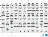 10 Leading Causes of Injury Deaths by Age Group  2016 Both sexes All ages All races