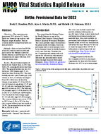 Births Provisional Data for 2022