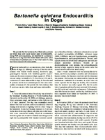 Bartonella quintana Endocarditis in Dogs
