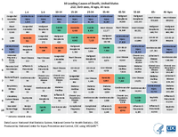 10 Leading Causes of Death United States  2020 Both sexes All ages All races