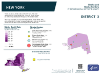 NY Congressional District 03 Stroke and Stroke Centers Map 118th Congress