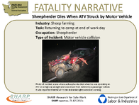 Fatality Narrative Sheepherder Dies When ATV Struck by Motor Vehicle  Slideshow
