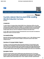 Foundry Laborer Electrocuted While Loading Electric Induction Furnace FACE 8943
