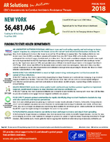 CDCs Investments to Combat Antibiotic Resistance Threats New York Fiscal Year 2018