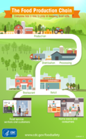 The Food production chain