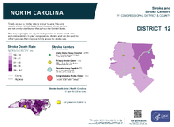 NC Congressional District 12 Stroke and Stroke Centers Map 118th Congress