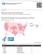 Mumps cases and outbreaks