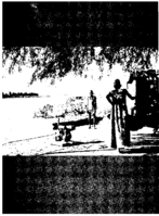 Public Health Reports  v 82 no 12 December 1967  masthead