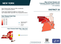 NY Congressional District 20 Heart Disease and Federally Qualified Health Centers Map 119th Congress