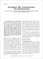 European Bat Lyssaviruses the Netherlands