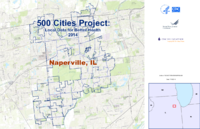 500 Cities Project Local Data for Better Health 2014 Naperville IL