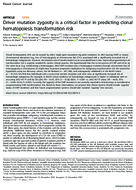Driver Mutation Zygosity Is a Critical Factor in Predicting Clonal Hematopoiesis Transformation Risk