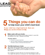 Lead Poisoning 5 Things You Can Do to Lower Your Childs Lead Level 2020