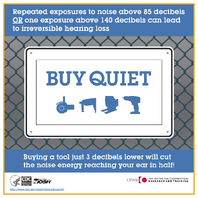 Buy Quiet Repeated exposures to noise above 85 decibels OR one exposure above 140 decibels can lead to irreversible hearing loss