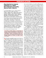 Mycobacterium leprae Infection in a Wild NineBanded Armadillo Nuevo Len Mexico