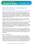 Maternal Mortality Rates in the United States 2019