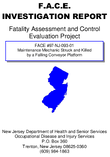 Maintenance Mechanic Struck and Killed by a Falling Conveyor Platform