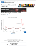 NCHS mortality surveillance data updated Sept 4 2020
