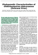 Phylogenetic Characterization of Orthohantavirus dobravaense Dobrava Virus
