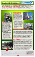 Tree Work Is Dangerous Dont Get Hurt Get Trained
