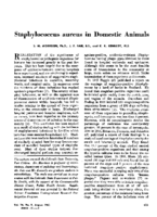 Staphylococcus aureus in domestic animals