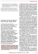 Detection of Rat Hepatitis E Virus in Pigs Spain 2023