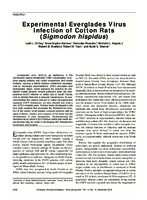 Experimental Everglades Virus Infection of Cotton Rats Sigmodon hispidus