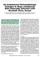 No Substantial Histopathologic Changes in Mops condylurus Bats Naturally Infected with Bombali Virus Kenya