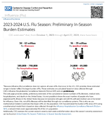 20232024 US Flu Season  Preliminary InSeason Burden Estimates
