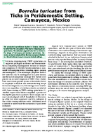 Borrelia turicatae from Ticks in Peridomestic Setting Camayeca Mexico
