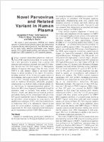 Novel Parvovirus and Related Variant in Human Plasma