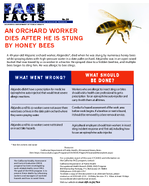 FACE Facts An Orchard Worker Dies After He Is Stung by Honey Bees