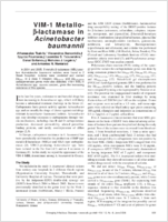 VIM1 Metallolactamase in Acinetobacter baumannii