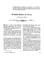 Wildlife Rabies In Texas