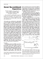 Novel Recombinant Sapovirus