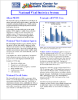 National Vital Statistics System April 2013