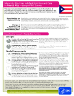 Maternity Practices in Infant Nutrition and Care in Puerto Rico  2009 mPINC Survey