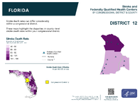 FL Congressional District 12 Stroke and Federally Qualified Health Centers Map 118th Congress